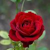 user3220124016526