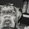 lela_0865