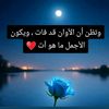 naglaa.f.fared