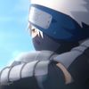 happyseal5162