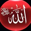 ahmedalaa3355