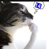 yorick_does_thinking