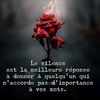 licacidimi591gmail