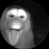 2007.vom