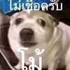 thanapat.seaui