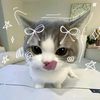 itz.pputr1wz2311