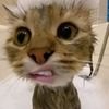 chitthai7hskieeezz_