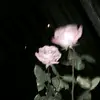 y.yyaa_20