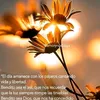 www.tiktok.com_64.ma_