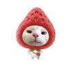 tyyaa_49