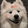 reviewbywarun