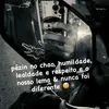 fsiluminado2