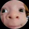 nhincailon887