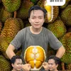 banhtrungthu150