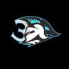 Orions basketball