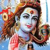 sanjive.kumar76
