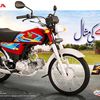syedalihaider5145