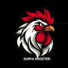 suryarooster6