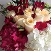 user8480720491208