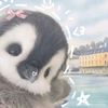 kucing_cool_3435