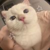 melis_oficall_vlogg