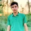 h_ed_ar4