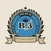 class_12businec3