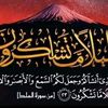 user253606160