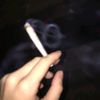 ali_108l