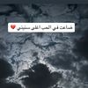 user69767906227555