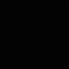 panda_123_4560