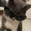 leandra_die_fanta