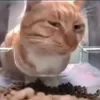 khangnonlaaa