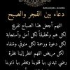 wdmohmmedali