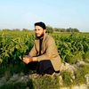 iqrashbaloch6