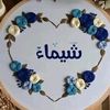 shimaaahmed5647