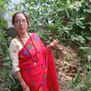 kamala.sharma704