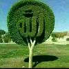 user9522653938334
