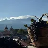 giovanni.mammino