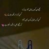 zidi.rajpoot2096