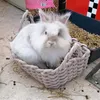 thefluffypuffs