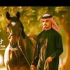 user86877416201244