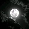 ail.w86