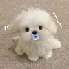 yassmuna_13