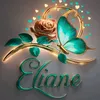 eliane.albuquerqu106