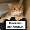 king.musorov