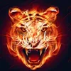 tomekatomek79