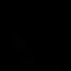 twsp_19