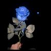 a777.zadeh0