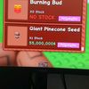Mangoboy